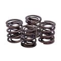 KPMI Valve Springs 20-20437 for Harley-Davidson