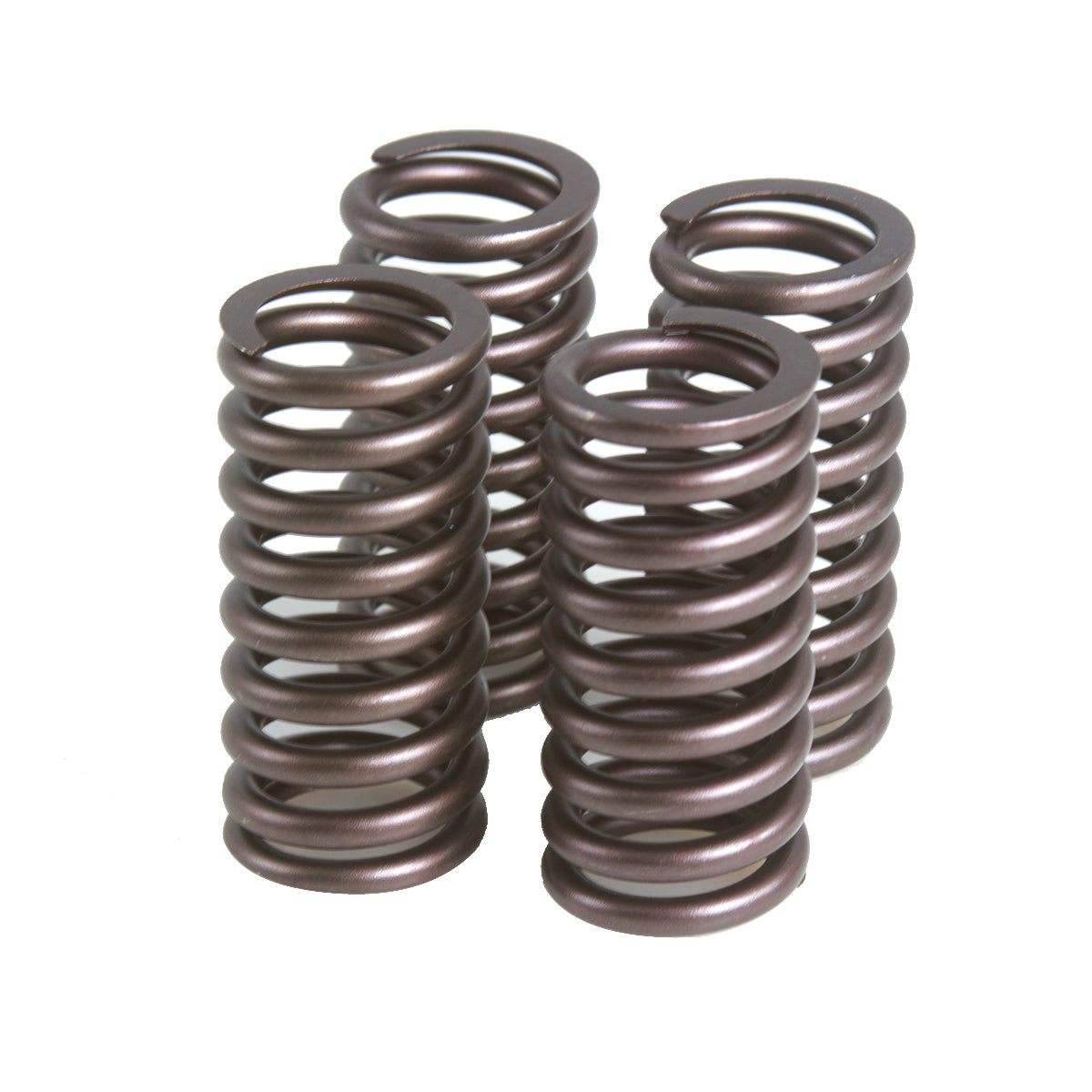 KPMI Valve Spring Kit 20-20483 for Harley-Davidson