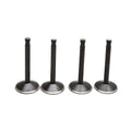 KPMI Valve Kit 20-22100 for Harley-Davidson