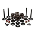 KPMI Engine Kit 20-22150 for Harley-Davidson Panhead