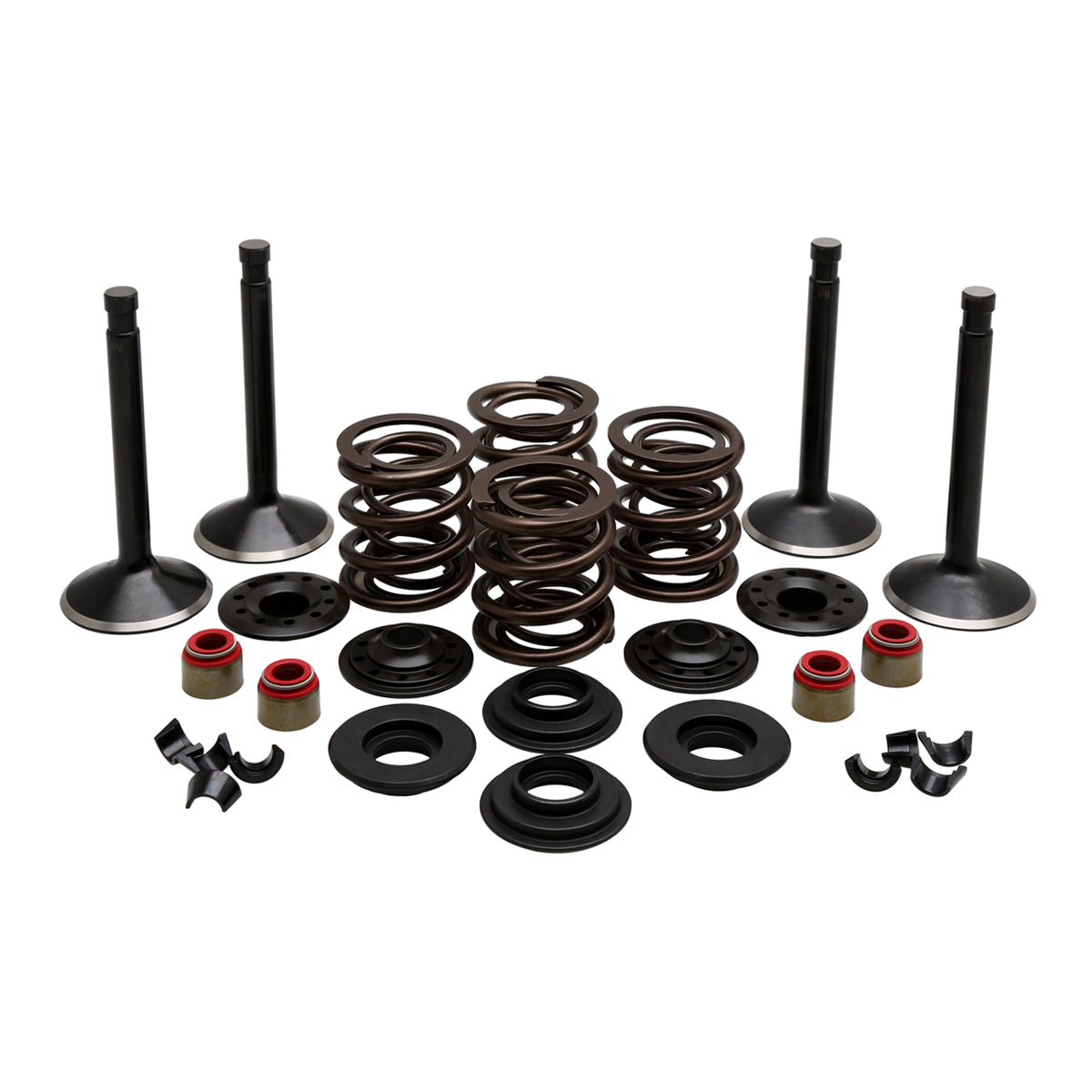 KPMI Engine Kit 20-22150 for Harley-Davidson Panhead
