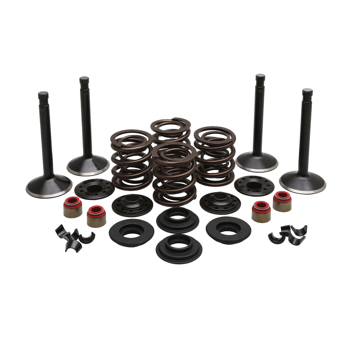 KPMI Engine Kit 20-22450 for Harley-Davidson Shovelhead 74 1966-1977
