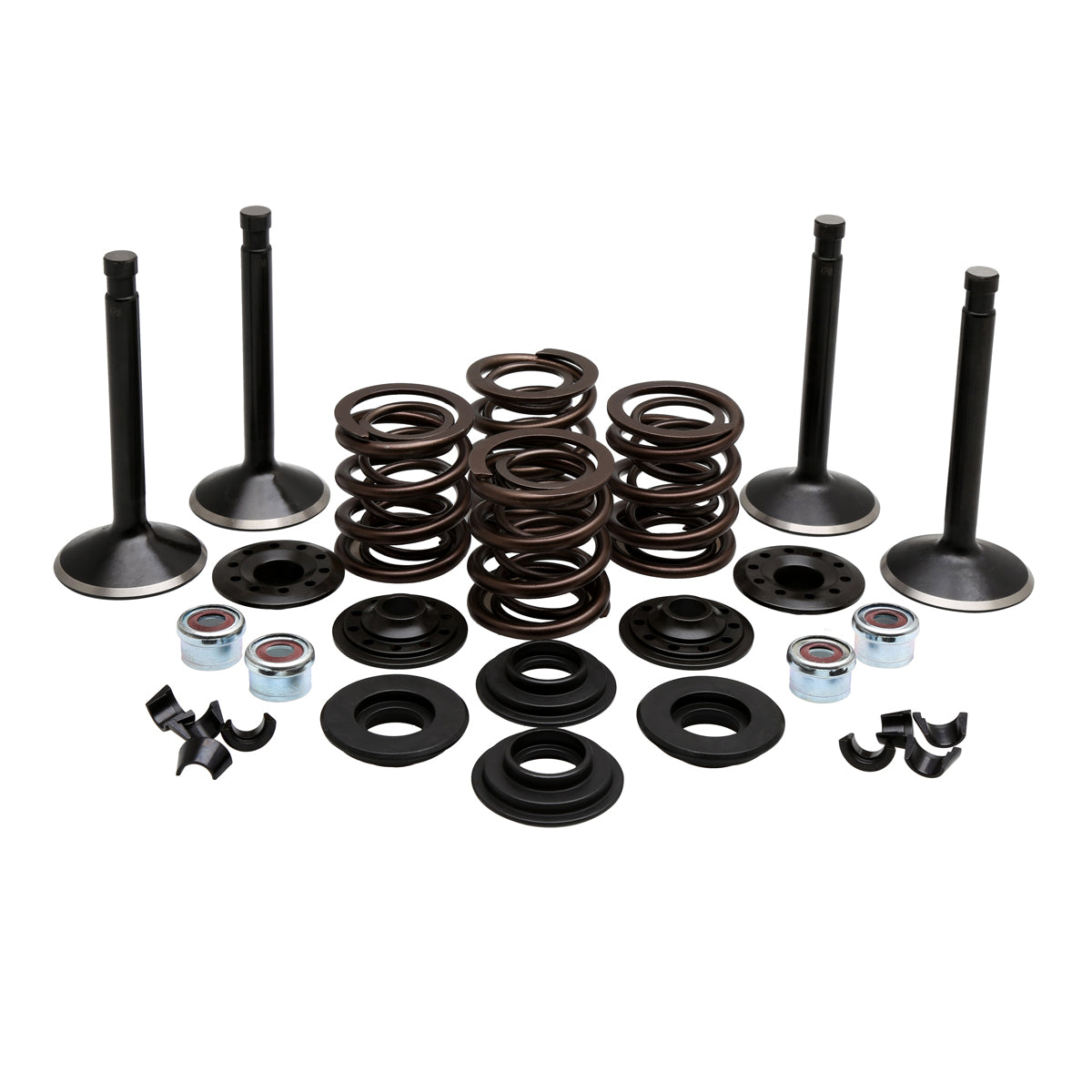 KPMI Engine Kit 20-22550 for Harley-Davidson