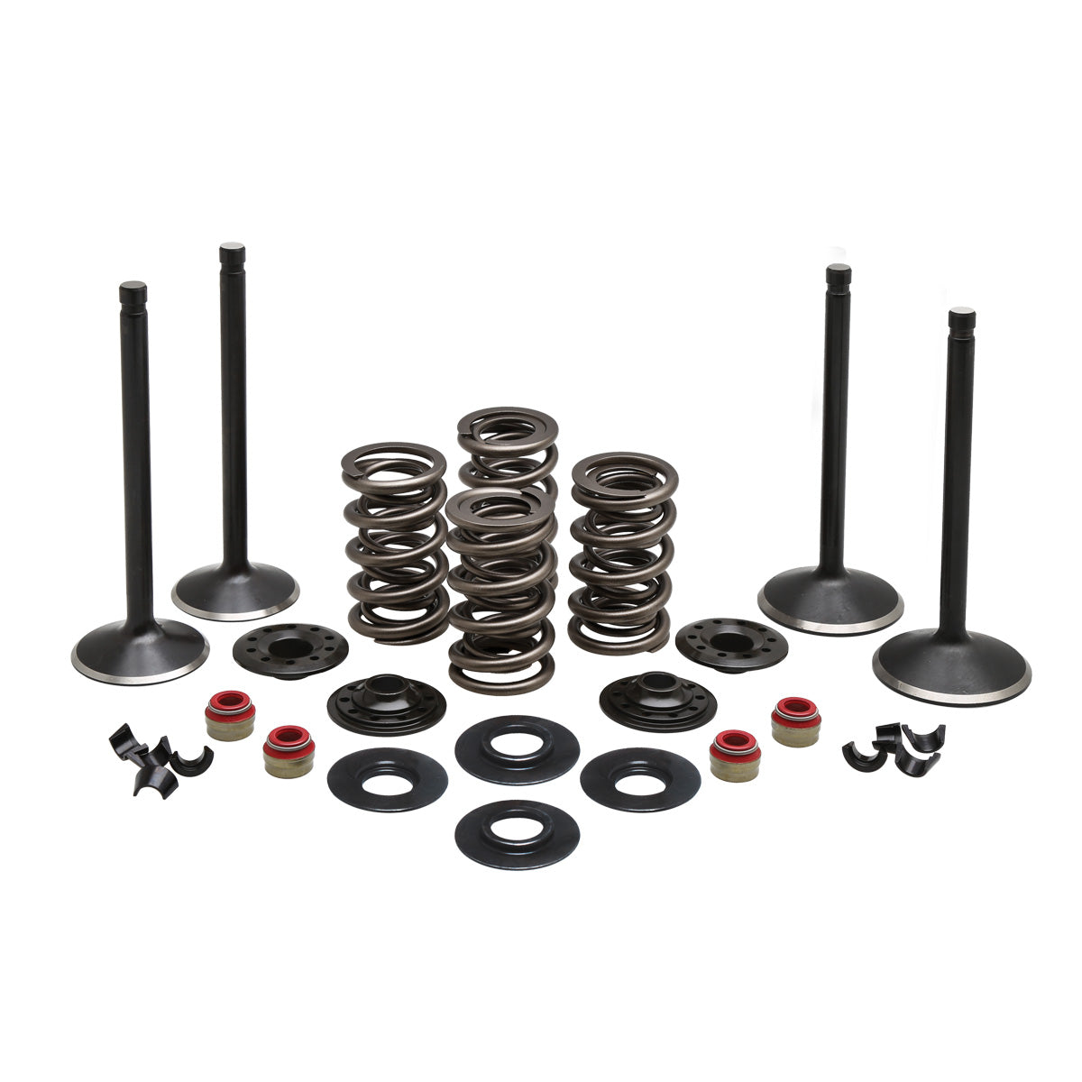 KPMI Engine Kit 20-22650 for Harley-Davidson