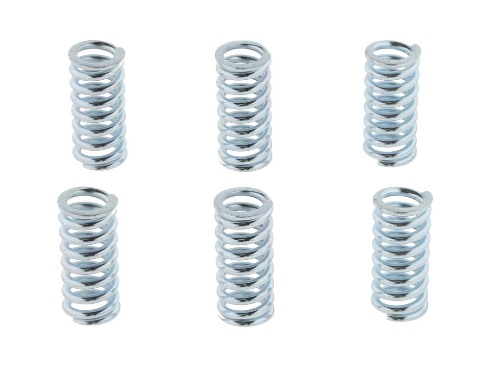 Belt Drives Ltd Clutch Springs Pack of 6 BDL-ECS-100